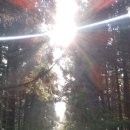 정권목장 이미지