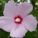 청살림영농조합법인 이미지