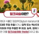 보령식품 | 간건강 피로회복 도움되는 건강기능식품 보령 간엔포스M 액상 밀크시슬 섭취후기
