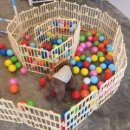 페츠하임 이미지