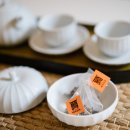 스테이 아담 이미지