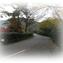 푸른밤펜션 이미지