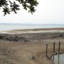 나문재관광농원 이미지