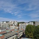 예인성균관어린이집 이미지