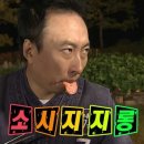 (주) 티피코 | 분량 모자란 일상