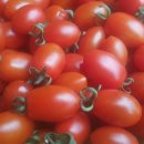 국희농장 이미지