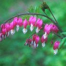 안락보건진료소 이미지