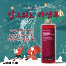 위트랜스