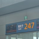 869 | 대한항공 KE869: 인천에서 대련까지! 탑승 솔직 후기