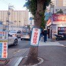 주정차단속-133 이미지