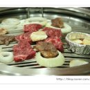 신씨고집 이미지