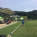 태장화원