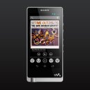 DSD 소프트웨어 이미지