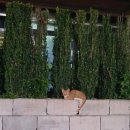 고향갈비탕설렁탕 이미지