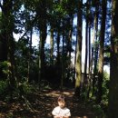 통나무파크 이미지