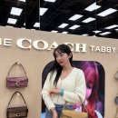 꼴라쥬로 나만의 스토리북 꾸미기 | 코치 더현대 서울 팝업 태비백 가방 / 북참 스프링 태비샵 오픈