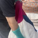 장흥세탁소 이미지