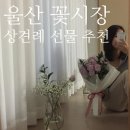 복만루(울산꽃시장) | 울산 꽃시장에서 직접 만든 꽃바구니&amp;꽃다발 후기, 상견례 선물 추천