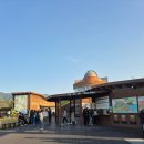 순천만습지 쉼터 화장실 | [갈대/순천] '순천만습지' 2025년 11월 둘째주 최신 순천만 갈대 모습