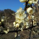 형제농장2 이미지