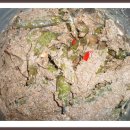 영양보리밥 이미지