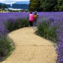 상림화원 이미지