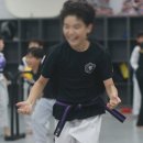 라이온 태권도장 이미지