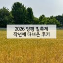 청운면사무소 | 양평 밀축제 2026 양평 가볼만한 곳 | 작년에 다녀온 후기