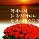 수완진아리채1차 이미지