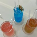 씨에스타 이미지