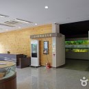 솔향공원 소나무전시관 이미지