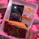 중앙 축산물 도매센타 이미지