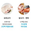 본앤조인트 이미지