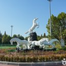 신트리공원 농구장 이미지