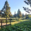 십리대밭 산책로 화장실 이미지