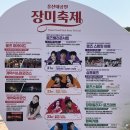 (야간)생활도자기 만들기 | 5월가볼만한곳 울산장미축제 2026 일정, 작년 후기 공유