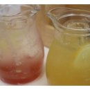 포레스트모가 이미지