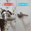 드림시아고시텔