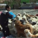 엔젤모텔 이미지
