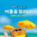 코코호도내외점