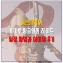 은화정 | 검은사막m 샤카투의 황금열쇠 레이드 후기(영상)