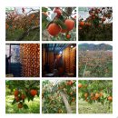 영걸농장 이미지