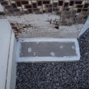 바당민박 이미지