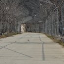 성훈모터스 이미지