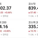 에이치엔인터내셔널
