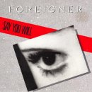 Foreigner - Say You Will (1987) 이미지