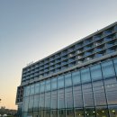 플라츠 | 영종도 네스트호텔에서 소규모 돌잔치한 솔직 후기 / 플라츠뷔페, 리엔파티 돌상