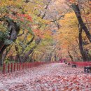 함양(대전) 이미지