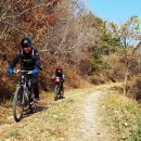 팽나무 펜션 이미지