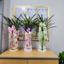 청담행정사사무소 이미지